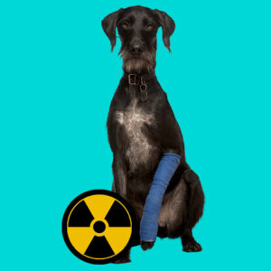 Radiation Safety