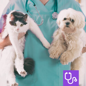 Veterinary nurse holding a cat and a small white dog