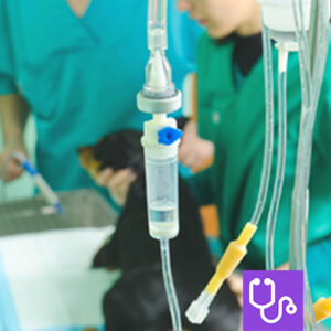 Intravenous fluid bag and giving set at a patient's side