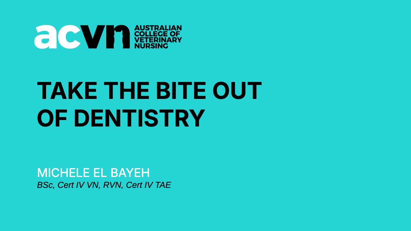 Taking the Bite out of Dentistry title slide