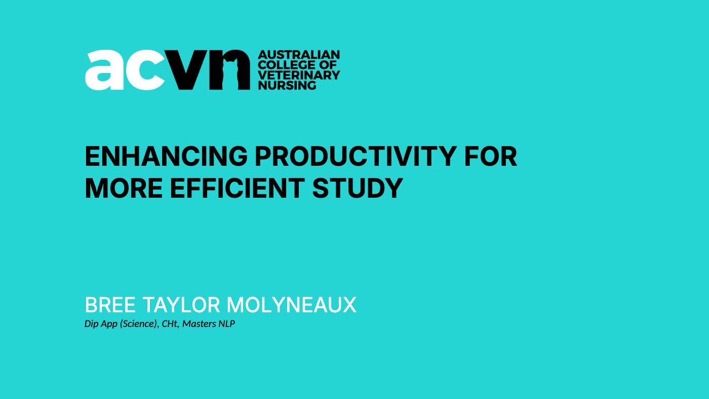 Productivity for Study title slide