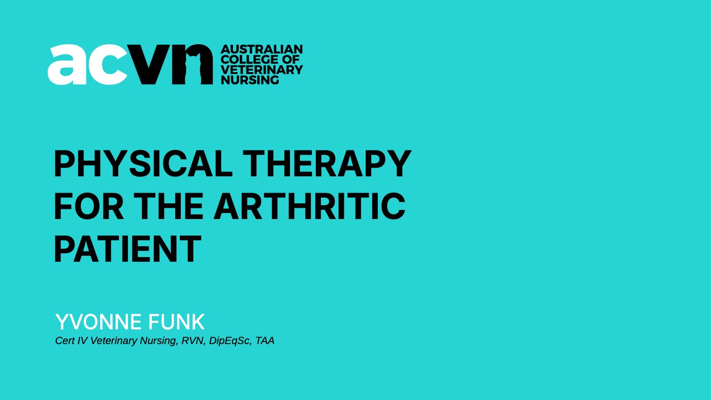 Physical Therapy for Arthritis title slide