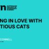 Fractious Cats title slide