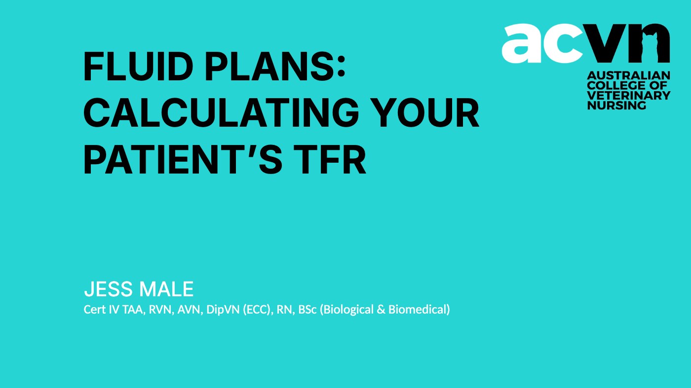 Fluid Plans: Calculating TFR title slide